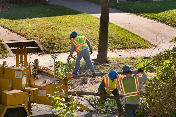 Best Seasonal Cleanup  in Winchester, IL